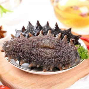 即食海参  鲜海参