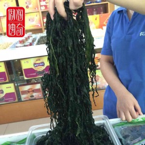 盐渍裙带菜长岛腌制海菜野生海藻煲汤