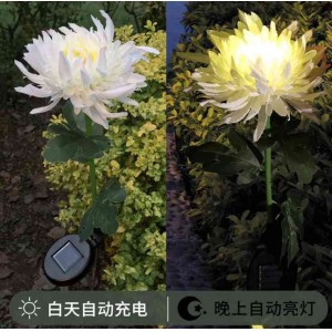 户外太阳能菊花灯,LED草坪灯