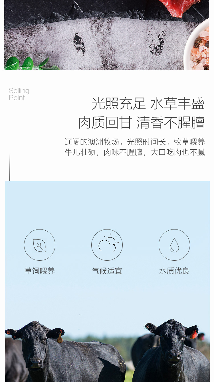 add1a52051f8f038564635b9e1fc3a8e.jpg