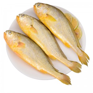 冷冻海鲜 活冻大黄花鱼1.5kg 每条0.5kg