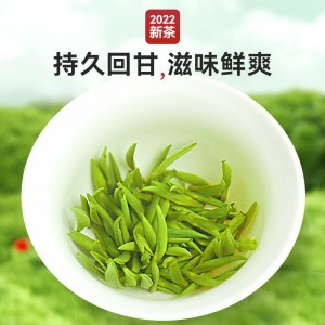 雀舌茶叶绿茶 2023春茶新茶浓茶