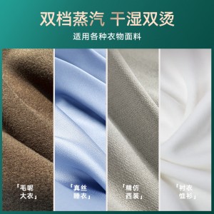 挂烫机家用手持小星斗熨烫机 蒸汽电熨斗