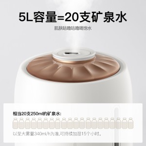 德尔玛（Deerma） 加湿器家用 5L大容量水箱 定时触控大雾量