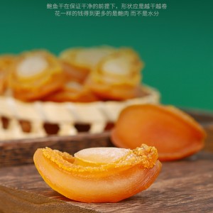 海鲜干货  海鲜干货礼品   鲍鱼  鲍鱼干