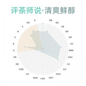 白茶罐装高山茶 春茶40g