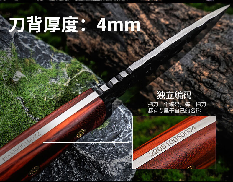 93121f1b5c229a5915ff17d82d012453.jpg