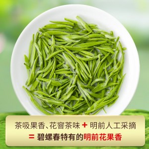 2022新茶茶叶 绿茶 春尖茶 明前嫩芽茗茶