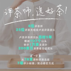 白茶罐装高山茶 春茶40g