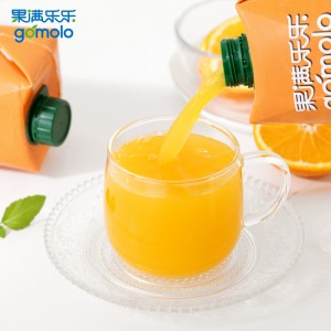 100%果汁精美礼盒 5L