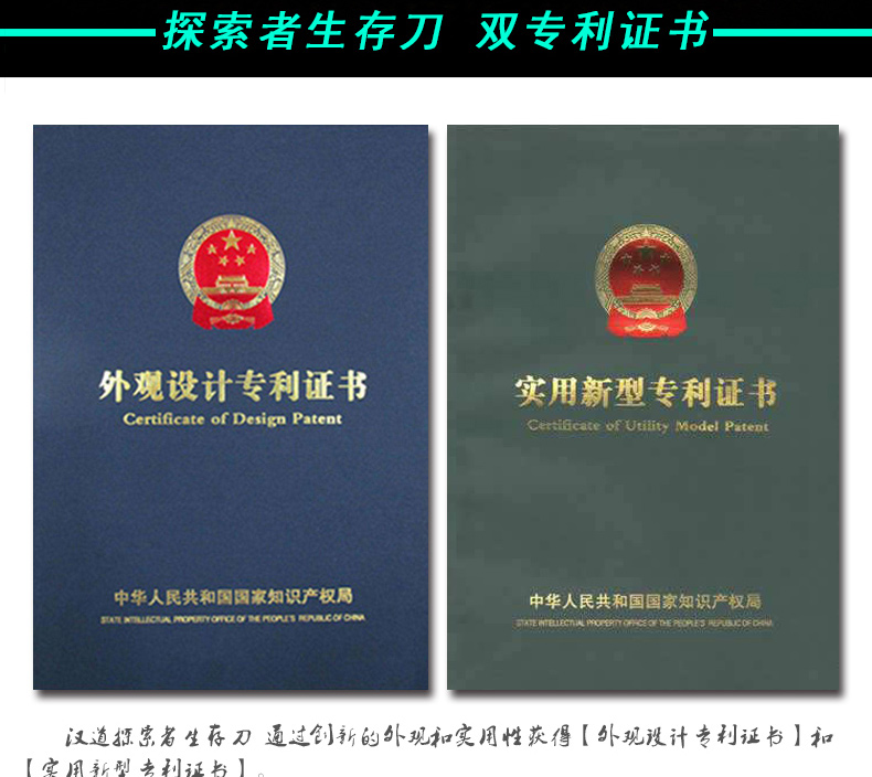 caf7e385068f9b098616d67ffc180595.jpg