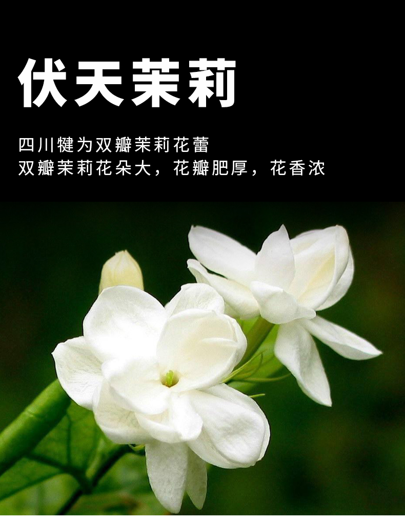 cc46ea889c043a618fcb8d5fd879e167.jpg