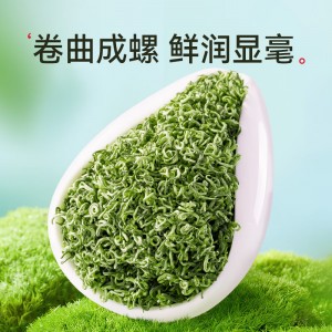 2022新茶茶叶 绿茶 春尖茶 明前嫩芽茗茶