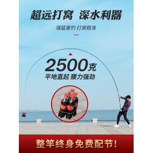 鱼竿 超轻超硬传统钓鱼竿