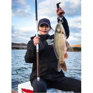 碳素鱼竿手竿 超轻超硬6H台钓竿 19调鲫鲤鱼杆