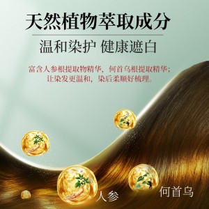 一梳黑染发剂染膏