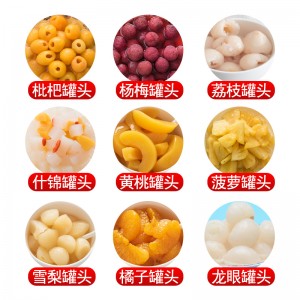 水果罐头 混合装糖水黄桃罐头 荔枝枇杷橘子罐头