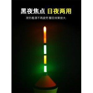 电子夜光漂 万向漂 新手自动钓鱼漂 绑好渔具套装