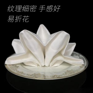 白色纯棉口布餐巾 （10条装）