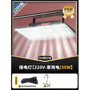 接电灯【220V家用电专用】30W