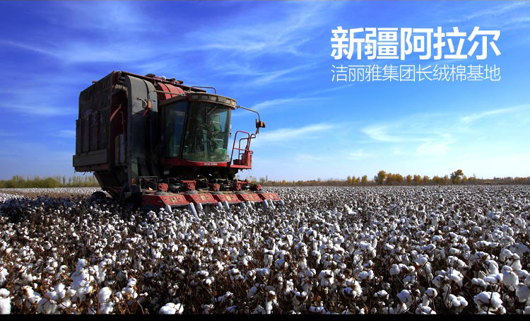 a8bfd5961cc5fbae4901ad633b59e892.jpg