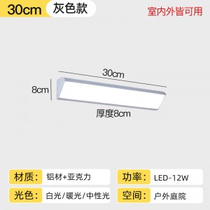 3169-灰色-30公分-单色光-12瓦