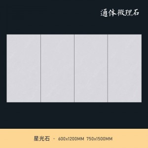 现代 极简客餐厅地砖瓷 600x1200 同款750x1500