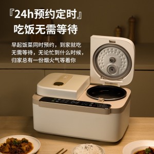 双胆电饭煲不粘锅家用智能电饭锅